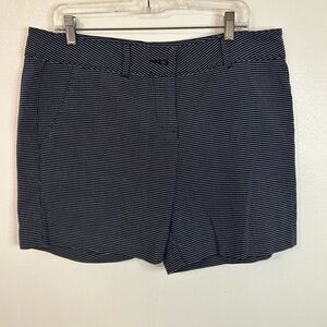 The Limited Navy Blue And White Shorts